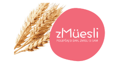 Zmuesli.si